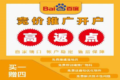 知名SEM公司案例分析：优化策略与成果